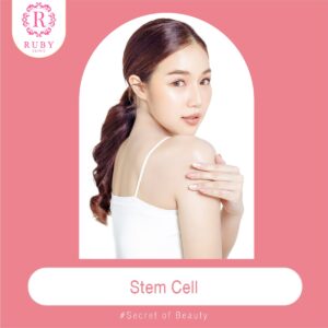 Stem Cell