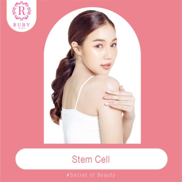 Stem Cell